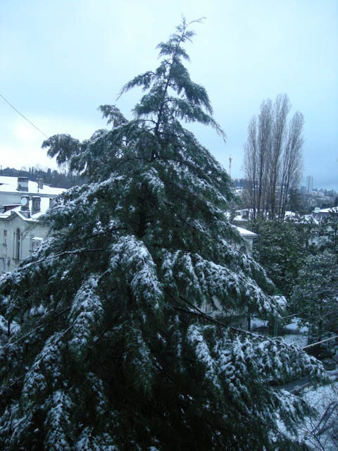 img007s