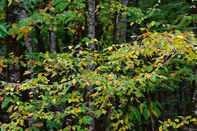DSC_0983.jpg