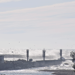 _DSC0278.gif