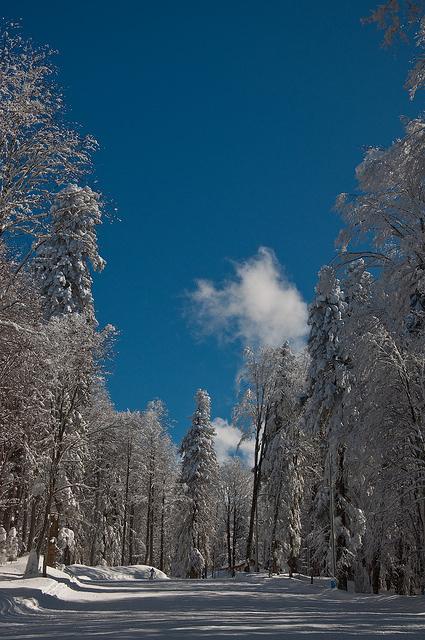 Облачка появились