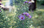 img520s
