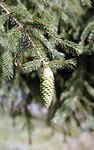 img535s