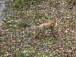 img1500