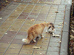img1911