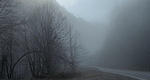img1934s1