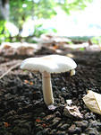 IMG_3512s