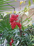 IMG_0154s