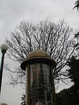 IMG_0174s