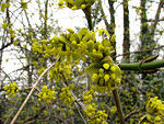 IMG_0192s
