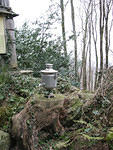 IMG_0198s
