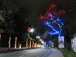 img_0339s1