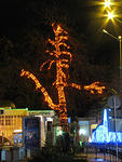 img_0342s1