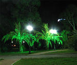 IMG_0623s