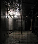 IMG_0671s