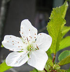 IMG_1694s
