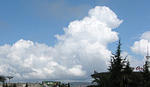 IMG_1736s