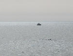 IMG_1799s