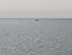 IMG_1803s