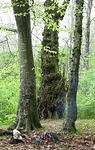 IMG_1859s