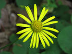 IMG_1860-3s