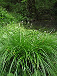 IMG_1864s
