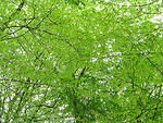 IMG_1873s