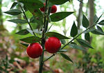 IMG_1878s