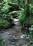 IMG_1916s