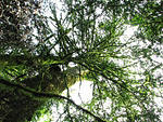IMG_1918s