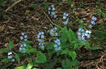 IMG_1937s