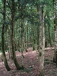 IMG_1981s
