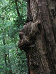 IMG_1998s