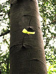 IMG_2012s
