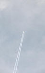 IMG_2034s