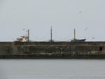 IMG_2056s