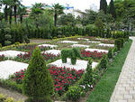 IMG_2067s