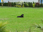 IMG_2077s