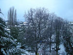 img008s