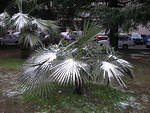 DSCN0343s