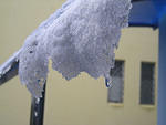 DSCN0345s