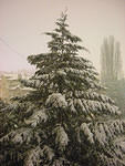 img_002s1
