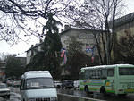 DSCN0358s