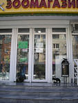 DSCN0368s