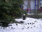 DSCN0370S