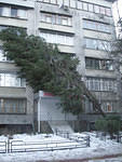 img_002s